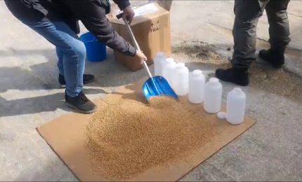 Controlli sul grano estero in arrivo al porto di Pozzallo