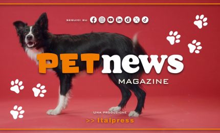 PetNews Magazine - 13/2/2024