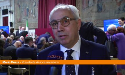 Pozza "Bilancio positivo per le Camere di Commercio all'estero"