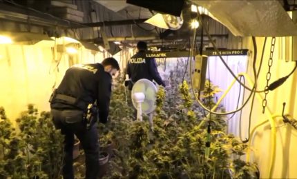 Bunker con 119 piante e 75 chili marijuana, un arresto nel siracusano