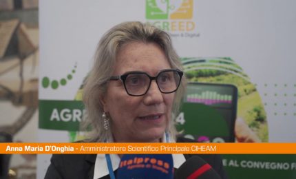 Agricoltura, D’Onghia "Con Agreed possibile rilevare fitopatologie"