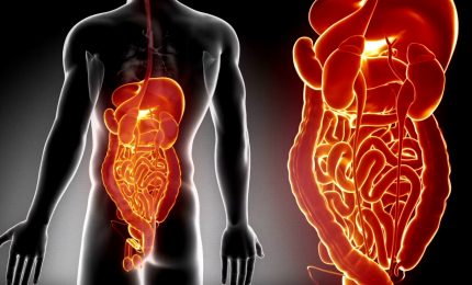 Cresce l'incidenza delle malattie infiammatorie croniche intestinali