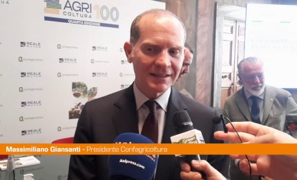 Giansanti "Investire in sostenibilità rende agricoltura competitiva"