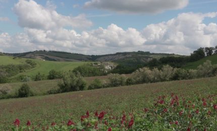 Generali e Gruppo Leone Alato inaugurano l'Oasi Gregorina