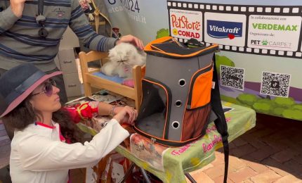 A Napoli il Pet Camper Tour