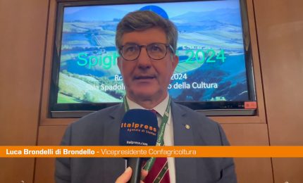 Spighe Verdi, Brondelli di Brondello "Più attenzione ad aree interne"