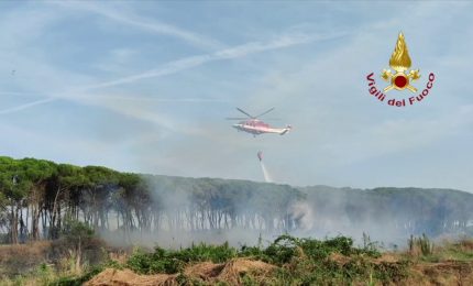 Incendio in pineta a Ravenna, in azione elicottero Vigili del Fuoco