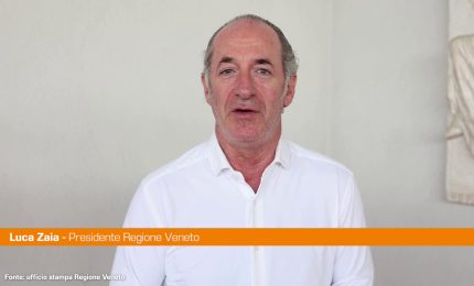 Autonomia, Zaia "Ricorsi danneggiano il Veneto, ci opporremo"