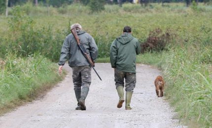 Il Tar respinge richiesta di sospensione del Calendario Venatorio in Sicilia