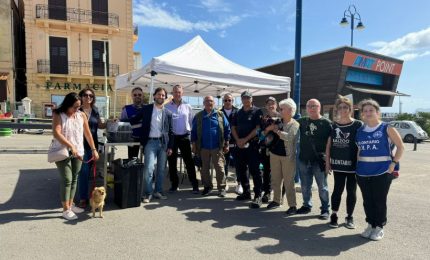 Palermo, Ferrandelli “Successo per nuova registrazione anagrafe canina”