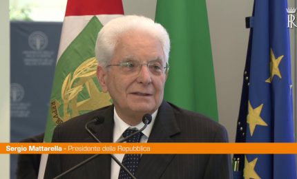 Mattarella "Europa fondamentale per affrontare problemi globali"