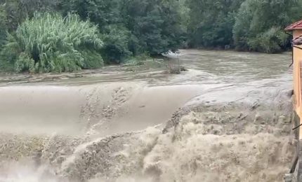 Si alza il livello del torrente Savena a Bologna