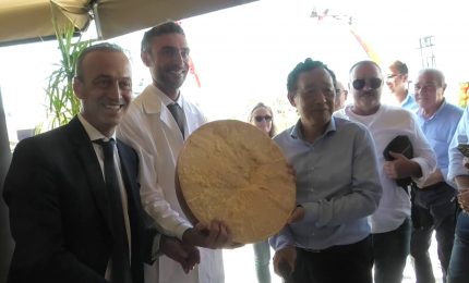 G7 Agricoltura, da Parmigiano Reggiano documento contro protezionismo