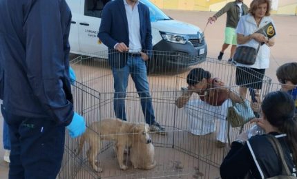 Palermo, Ferrandelli “Sold out di microchip oggi al centro Conca d’Oro”