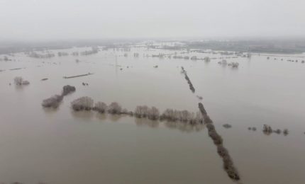 ⁠Via libera Ue a un miliardo per i danni da maltempo in agricoltura