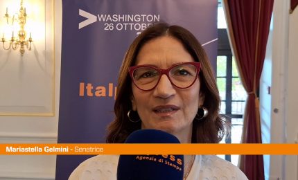 Italpress Awards, Gelmini "Modello per tante collaborazioni con Usa"