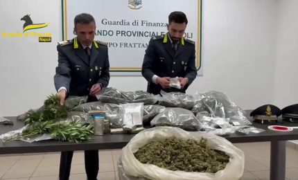 Sequestrata a Benevento piantagione canapa indiana e 50 kg marijuana