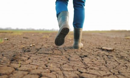 Siccità, 112 milioni per le imprese agricole danneggiate