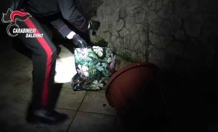 Traffico internazionale di droga, 14 misure cautelari nel salernitano