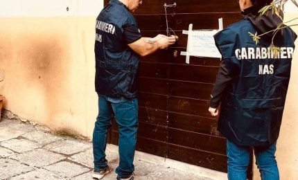 Chiusi tre B&amp;B abusivi a Palermo, sequestri dei Nas per 3 milioni