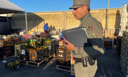 Sequestri al mercato di Siracusa, Schifani “Tuteliamo il made in Sicily”