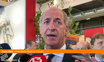 Zaia "Dazi Usa? Vedremo, ma l'Europa deve fare l'Europa"