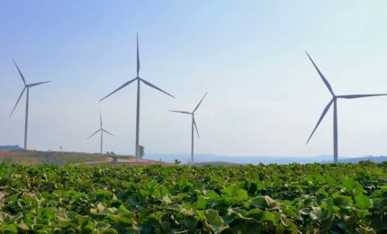 Nasce il Consiglio europeo per l’agricoltura e l’alimentazione