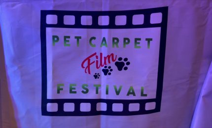 Successo per la terza edizione di "Pet Carpet. Un riciclo da Oscar"