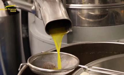 Savona, scoperta truffa sull'olio taggiasco