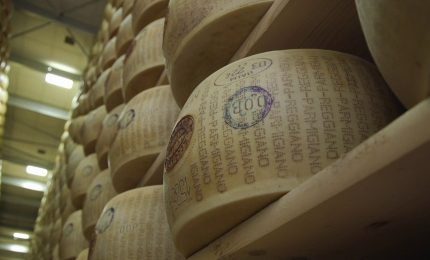 Parmigiano Reggiano, partita la "battitura" per il controllo qualità