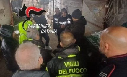 Liquami e carcasse di animali, sospesa l’attività di un allevamento nel Catanese