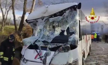 Albero cade su scuolabus nel Fiorentino, le immagini