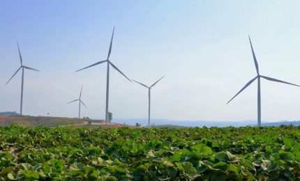 Dai cittadini europei forte sostegno alla Politica Agricola Comune