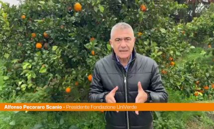 Pecoraro Scanio ”Formare giovani Ecodigital, sfida parte da Sicilia"